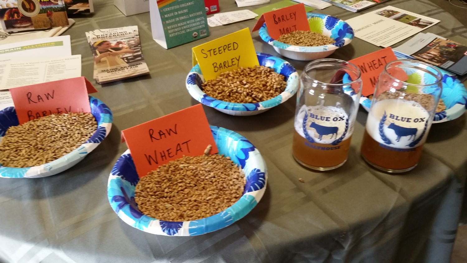  Examples of raw and malted grains were on display. Also, wheat and pale ale beers utilizing Blue Ox malts and brewed by Blank Canvas Brewery of Brewer, ME were offered as samples. 