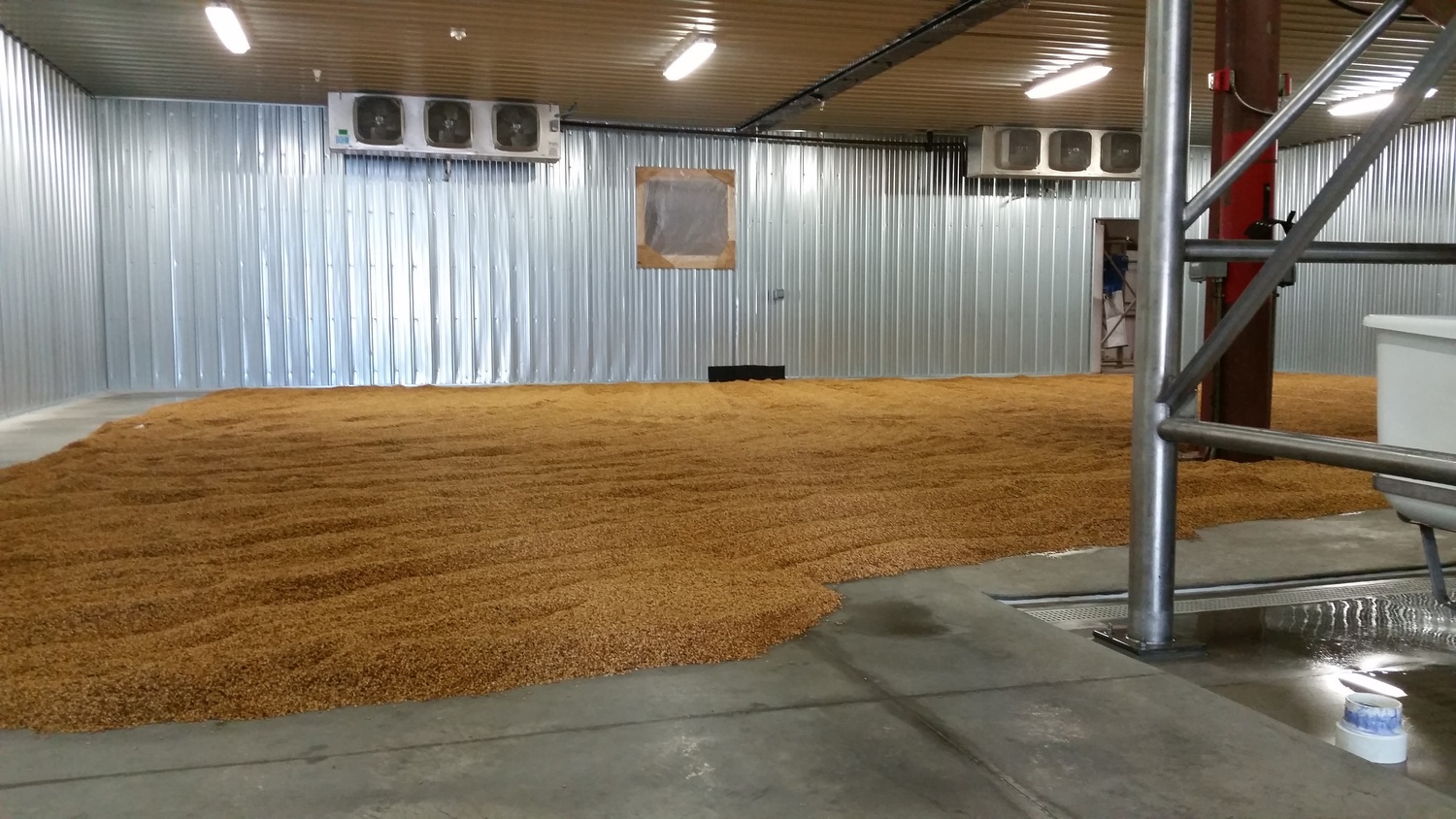  On the floor at Blue Ox Malthouse are tons of recently steeped grains that have begun the germination process. Behind the back wall is the kiln. 
