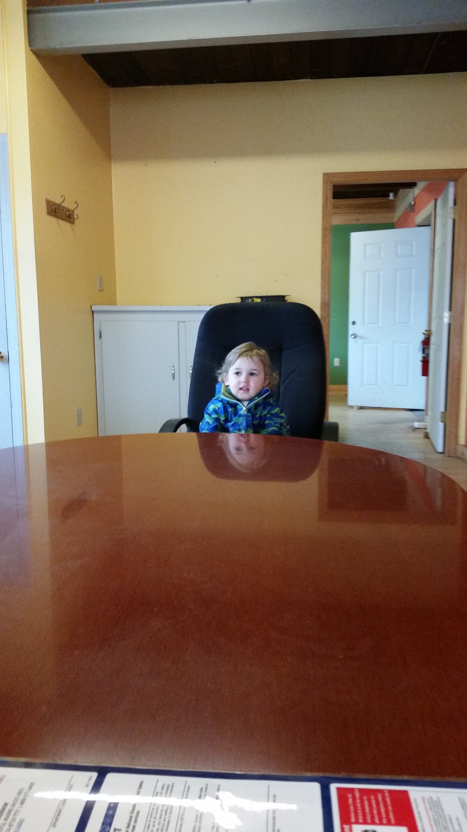  Archie is loving his prime spot at the head of the conference table.&nbsp; 