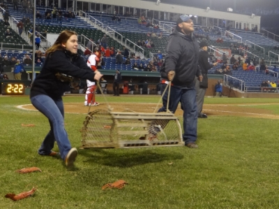 These Sips and Sea Dogs tour guests were able to participate in the lobster toss on the field between innings of a Portland Sea Dogs game last season.