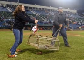 Guests from a Sips and Sea Dogs tour last year competing in an on field promotion.