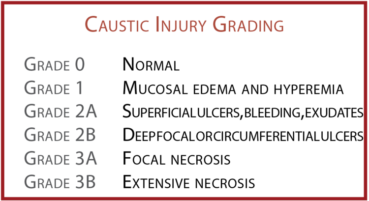  fIGURE 1.&nbsp; eNDOSCOPIC GRADING SYSTEM FOR CAUSTIC INJURIES. 