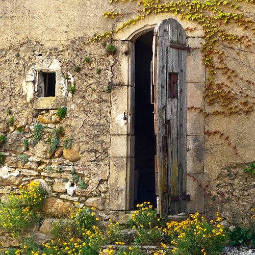 Crumbling stone,, climbing vines, yellow wildflowers, and weathered wood antique arched door. South of France Fixer Upper Château Gudanes. #southoffrance #frenchchateau #provence #frenchcountry #renovation