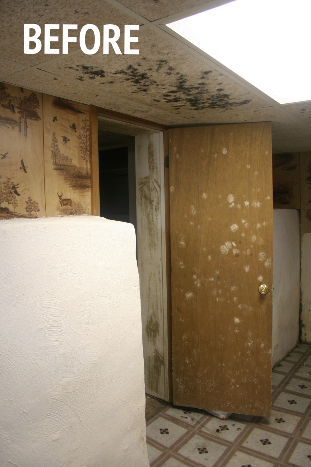 How To Remove Mold Mildew From Your Basement Part 1 Stevie