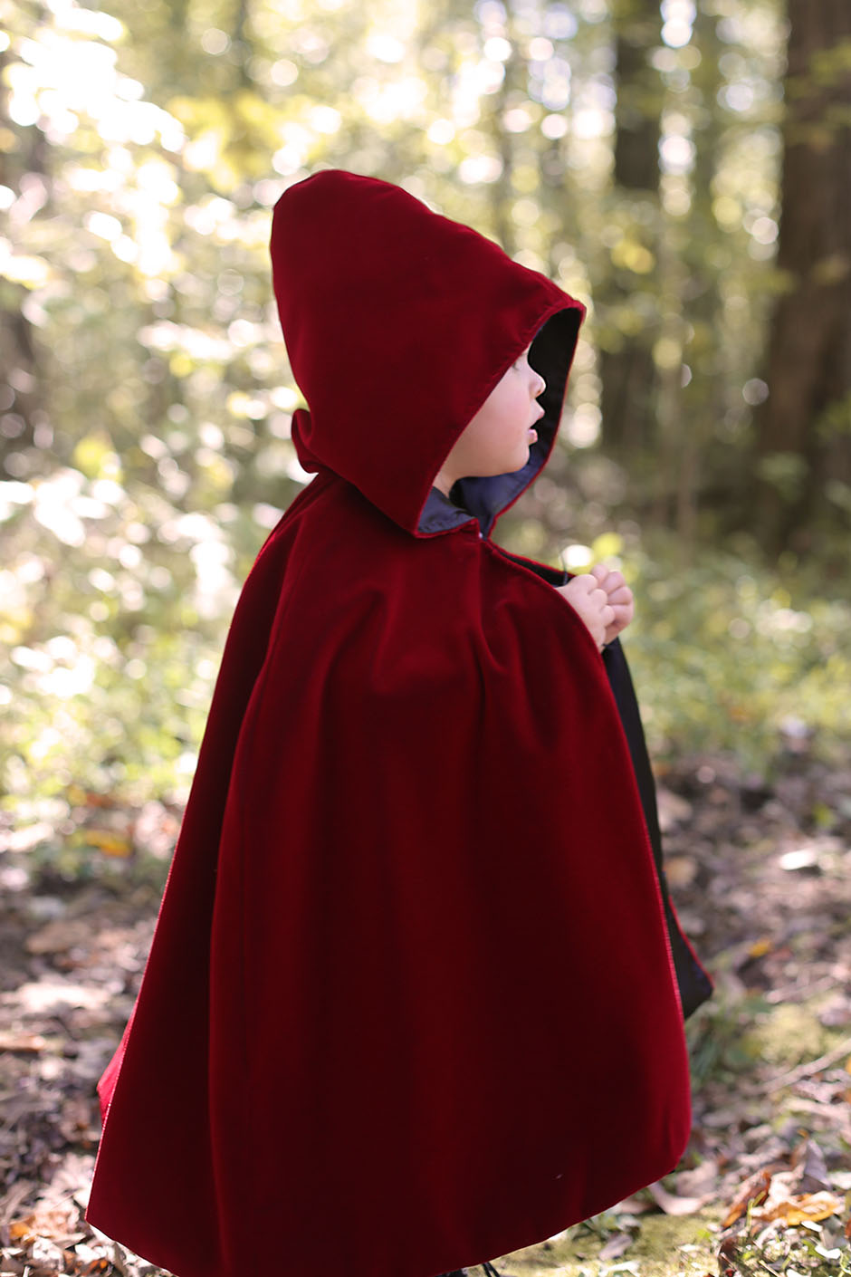 Little Red Riding Hood D.jpg