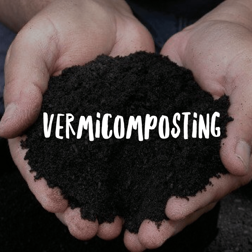 Image result for Vermicomposting