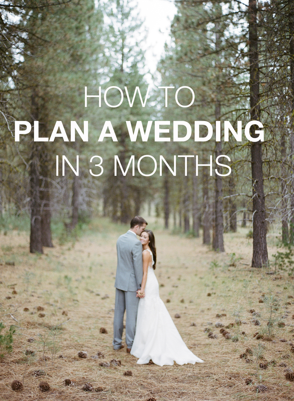 HOW TO PLAN A WEDDING IN 3 MONTHS — Allie Seidel