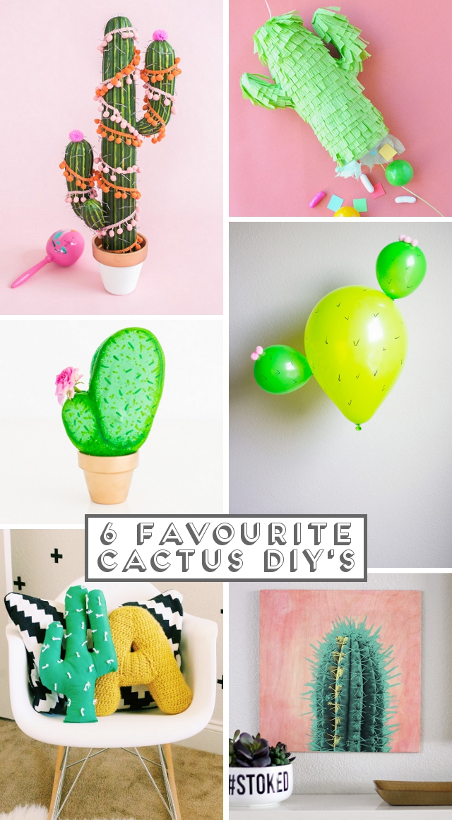 6 Favourite Cactus Diy's