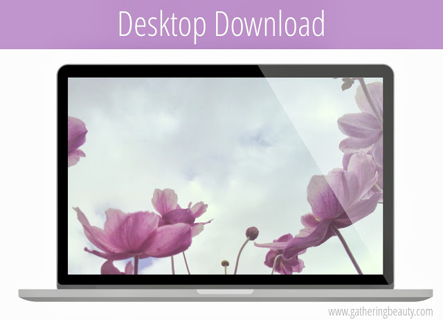 Desktop Download - Japanese Anemones - Gathering Beauty