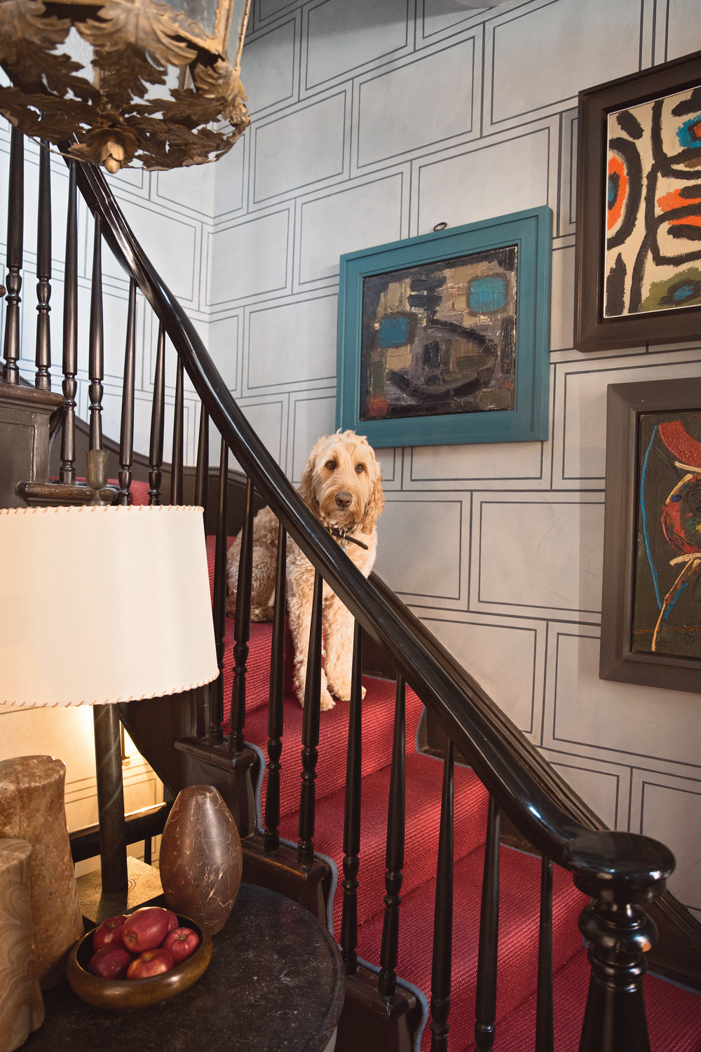 At-Home-with-Dogs-and-Their-Designers-Sharing-a-Stylish-Life