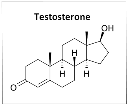 Lack of testosterone in men