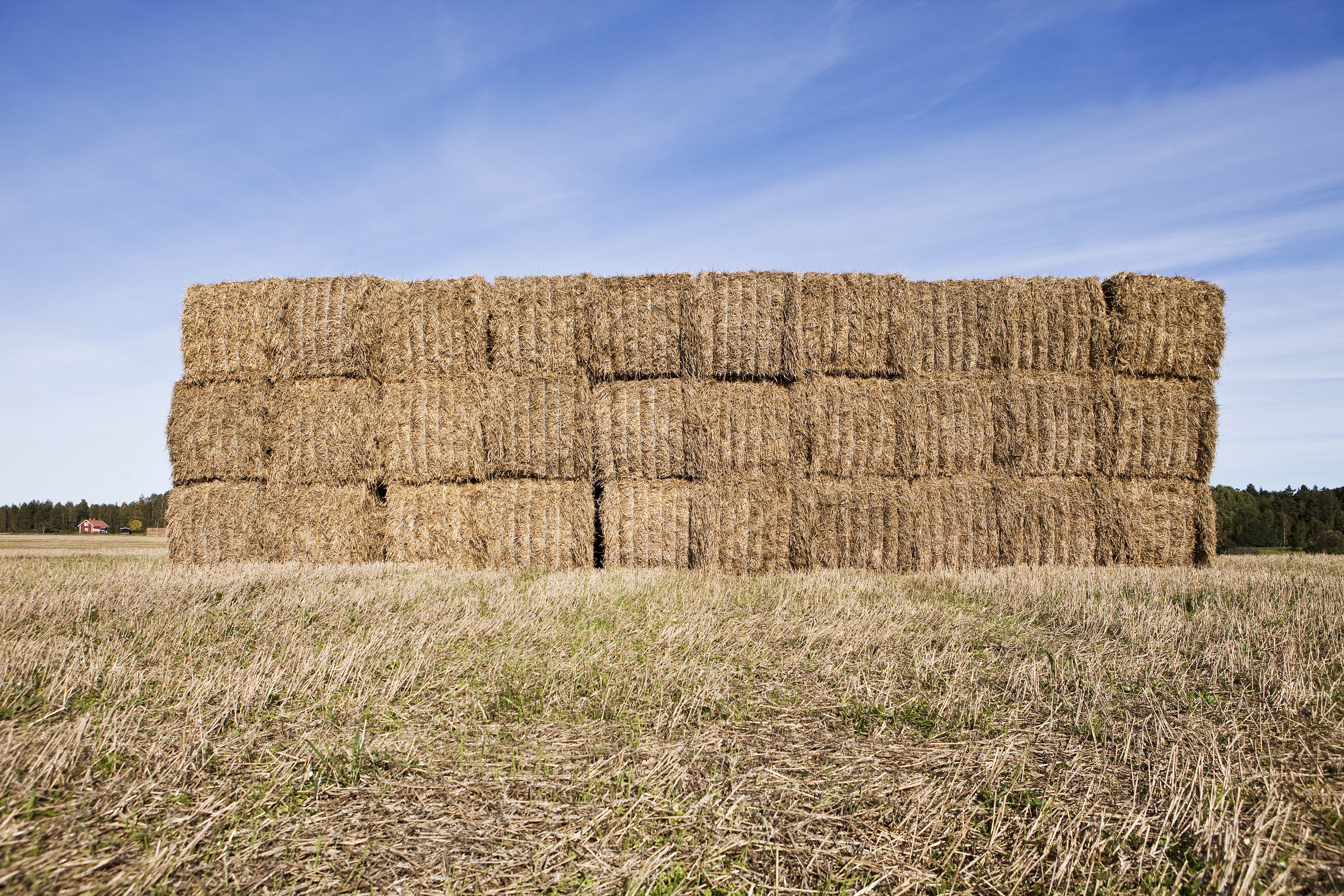 Image result for haystack