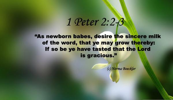 Image result for 1 peter 2:2