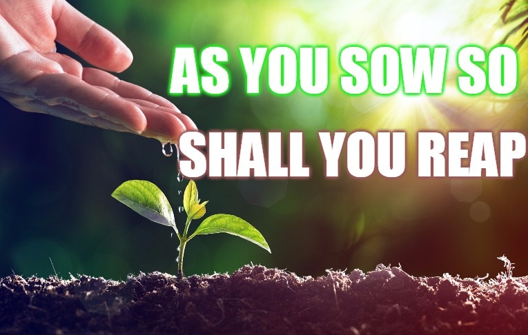 Galatians 6:7 You Will Harvest What You Plant