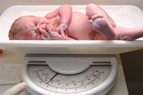 preemie baby newborn on scale in NICU