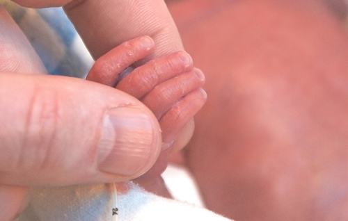 micropreemie extremely small hand being held by mother in NICU