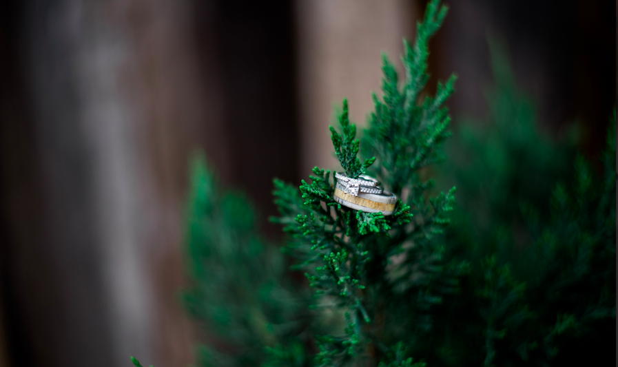 wedding ring on christmas tree