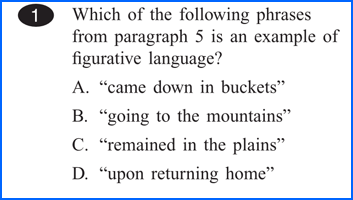 Sample essay questions for 5th graders