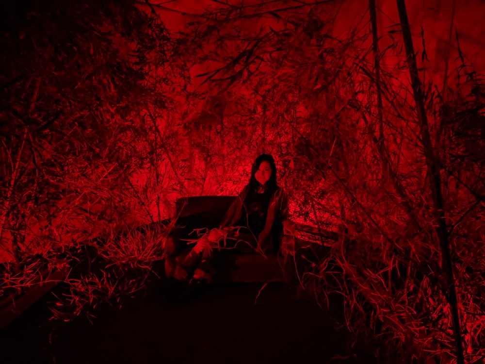 HARC Red Forrest - In collaboration with the HARC Collective, Pareto Retail Labs designed an indoor red light bamboo forest. The installation increased dwell time and generated dozens of social media posts. 