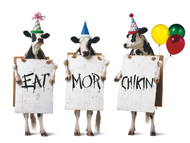  Three cows paying homage to the civil rights era 'I AM A MAN' signs. 