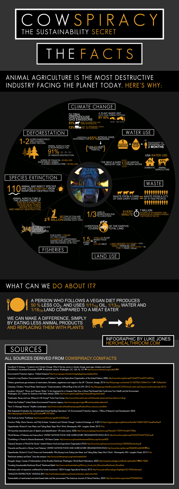 [Image: Cowspiracy-Infographic.png?format=700w]