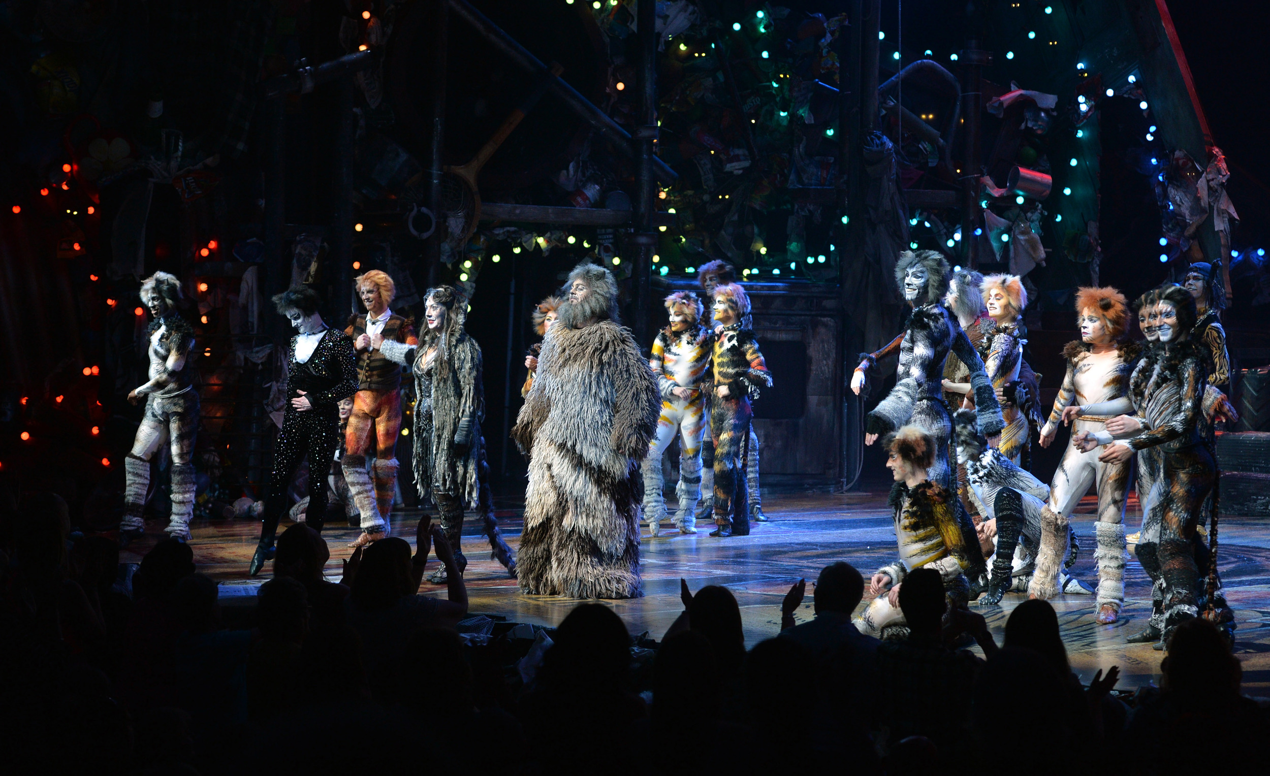  The Cats curtain call at VIP/press night at Blackpool Opera House on Wednesday July 15, 2015 (promo image subject to copyright) 