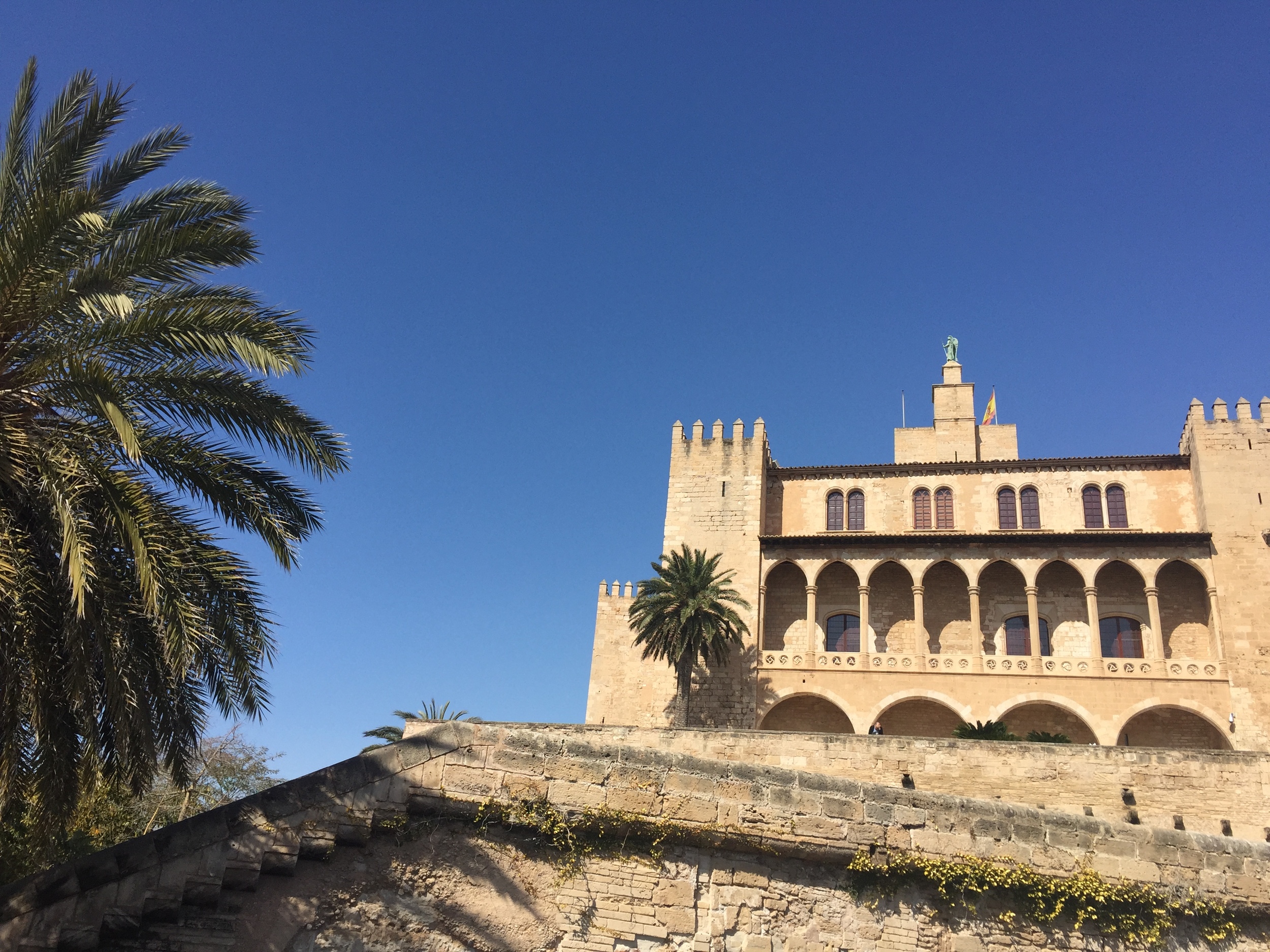  You can't argue with that blue sky.. Palma and its cathedral. Pic @jabberingjourno 