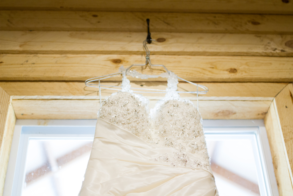 Wedding Dress hanging from cedar wall.