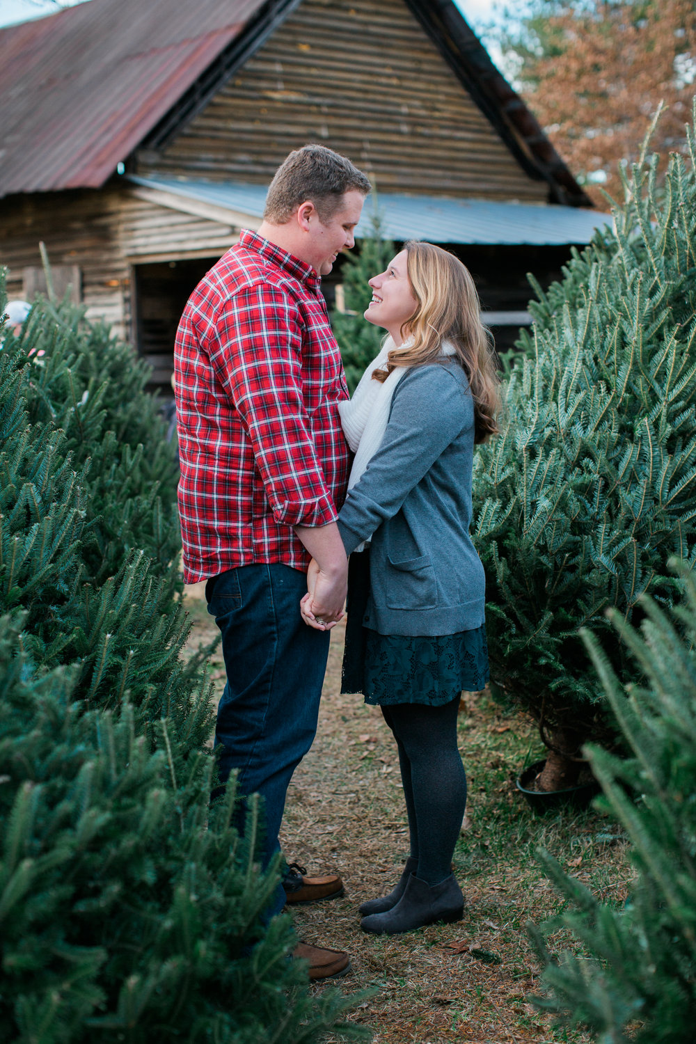 Looking into each others eyes at the Tree Farm