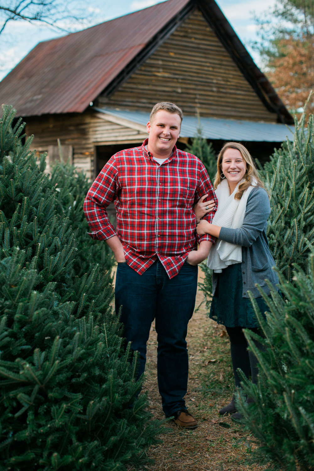 Couple standing in Christmas Tree Farm