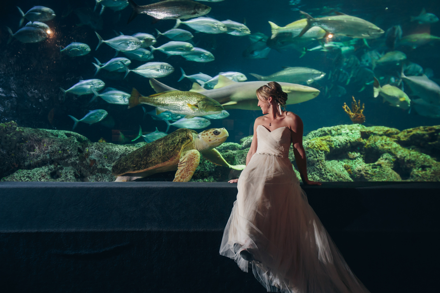 South Carolina Aquarium Wedding by Sage Innovations — A Lowcountry ...