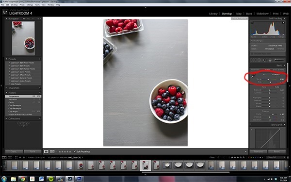 5 Edits in Lightroom for Food Photography | edibleperspective.com