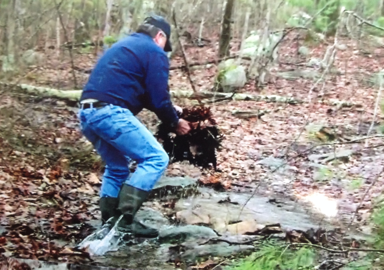  Connecticut resident Allan Rawson, managing member of Putnam-based River Junction Estates, was recently videotaped moving rocks and leaves along a watercourse in Rhode Island’s Buck Hill Management Area. (Rob Mann photos) 