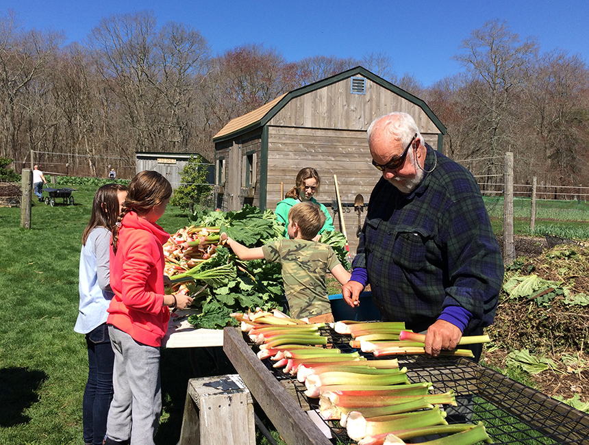 Mike Merner, right, began growing rhubarb on Earth Care Farm in 1977. He started with two plants given to him by a friend. Now, there are rows of rhubarb and it takes a family to harvest all of it. (Jayne Merner Senecal)