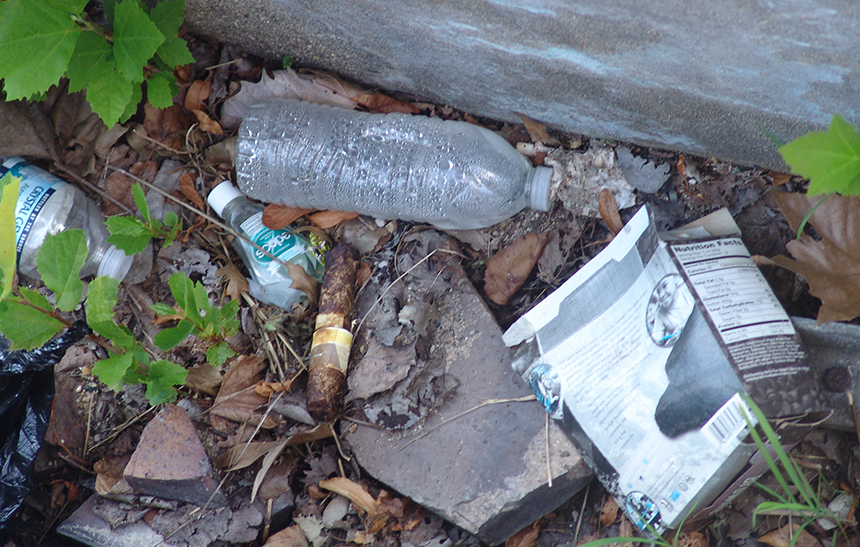 Litter, especially of the plastic variety, costs taxpayers plenty. (Frank Carini/ecoRI News)