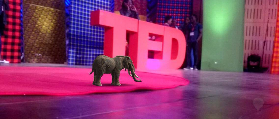 TED talk transcript