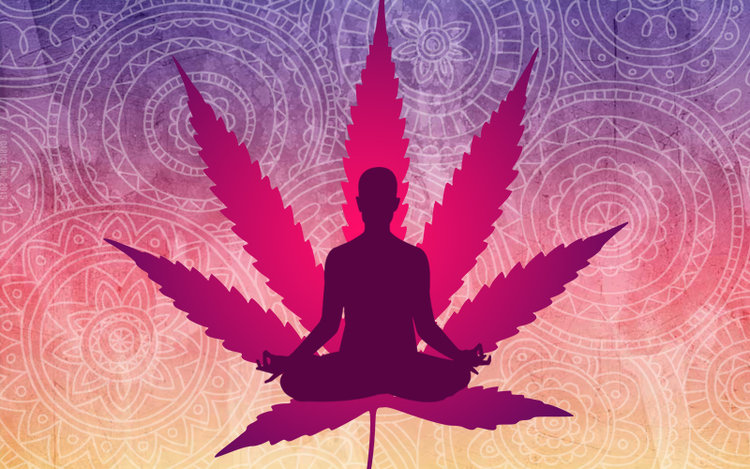 Image result for yoga cannabis