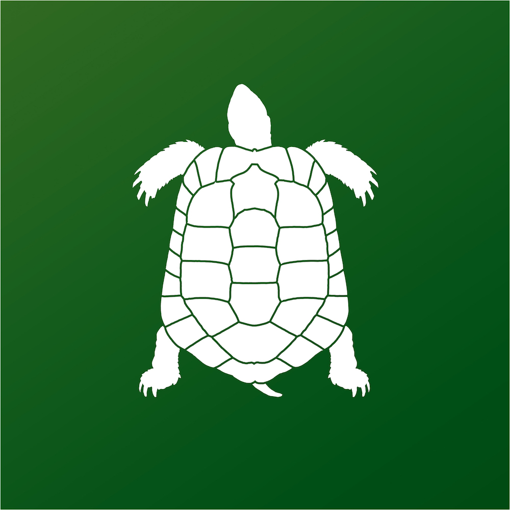www.turtleconservancy.org