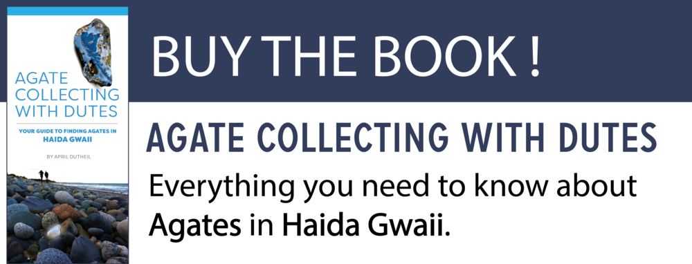 Haida Gwaii Agate Book