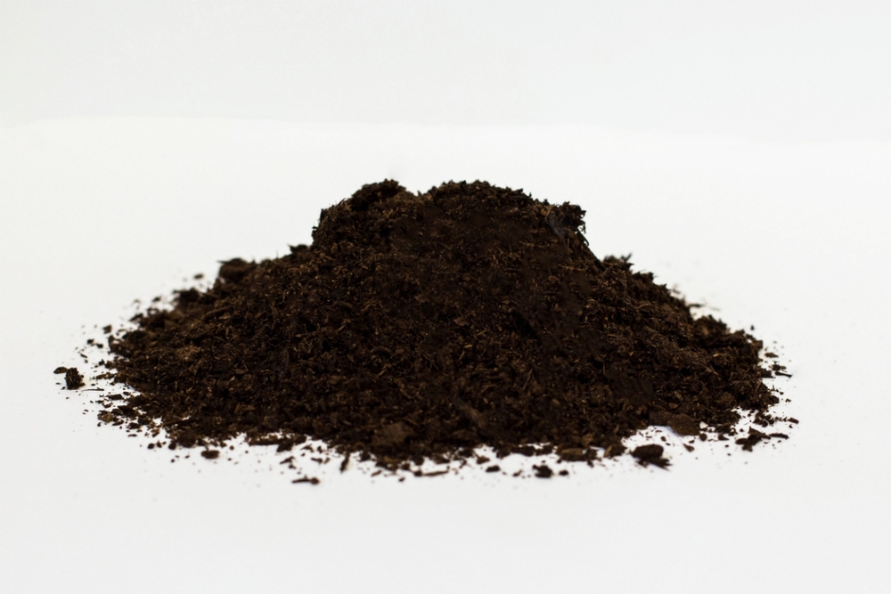 Image result for top quality cow manure