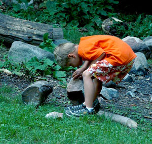 Image result for Child looking under rock