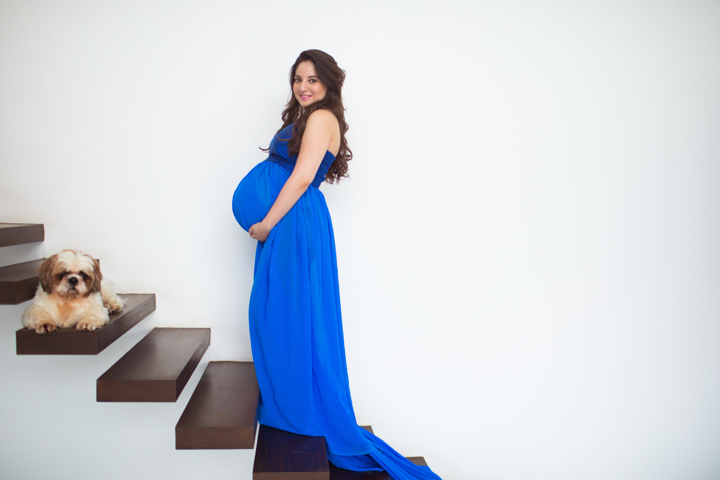 Mom to be in a long royal blue dress posing on stairs with a Shih-Tzu dog for a maternity photoshoot | Indian Maternity Photoshoot Ideas | Adorable maternity photo shoot ideas with pets for cute pictures | Cute Pregnancy Photoshoot with Dogs for expecting couples | Function Mania