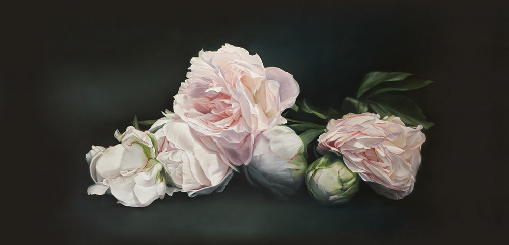 Peonies are pink, alive and large acrylic buy storeonline