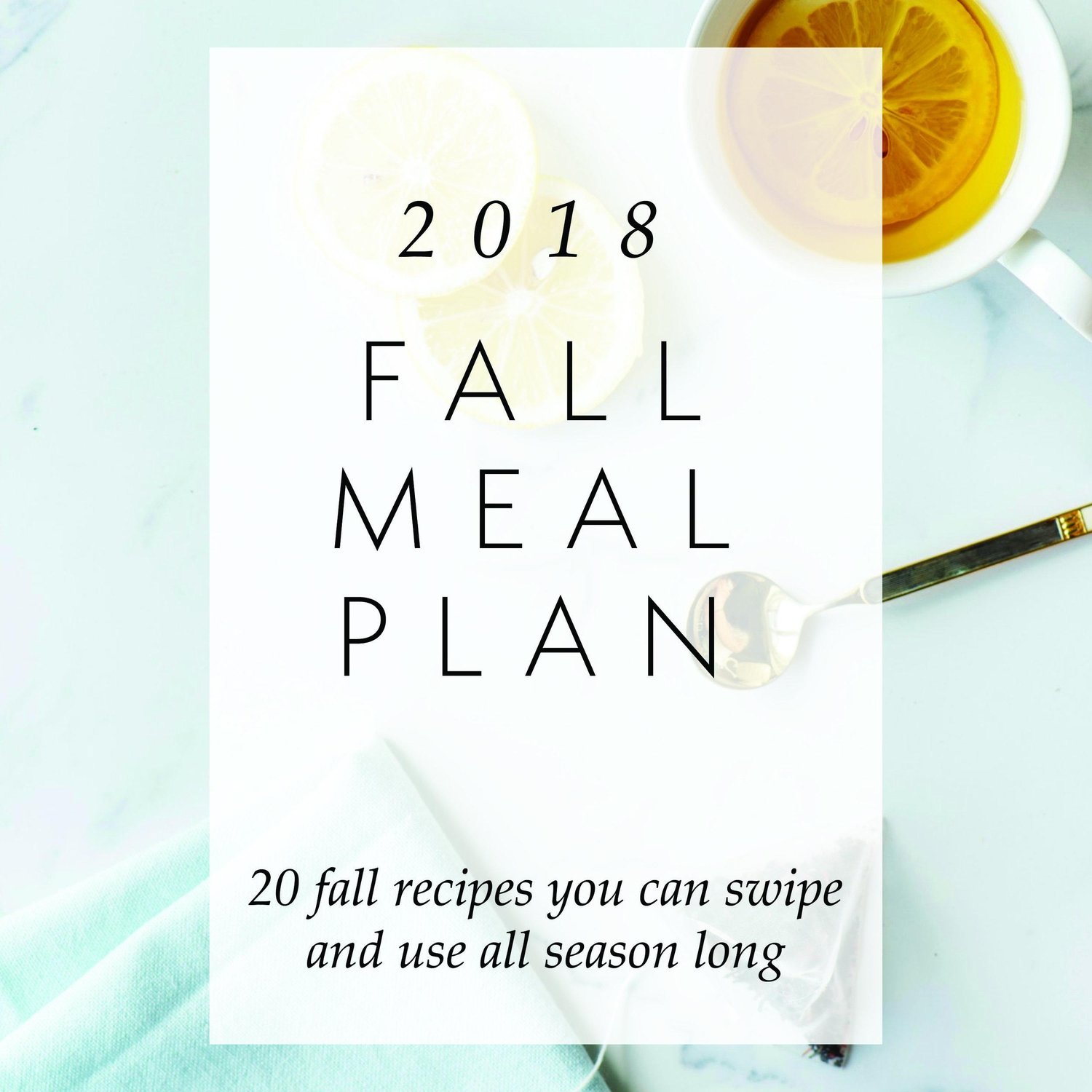 2018 Fall Meal Plan — Natasha Red