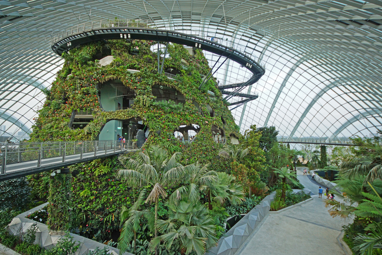 Cloud_Forest,_Gardens_by_the_Bay,_Singapore.jpg