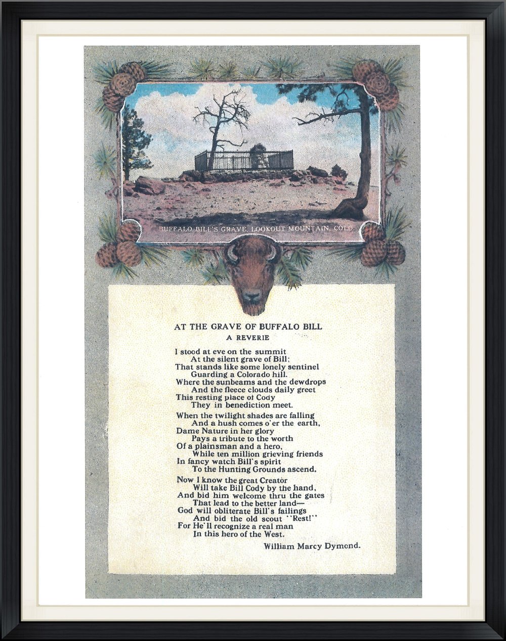 buffalo bills poem