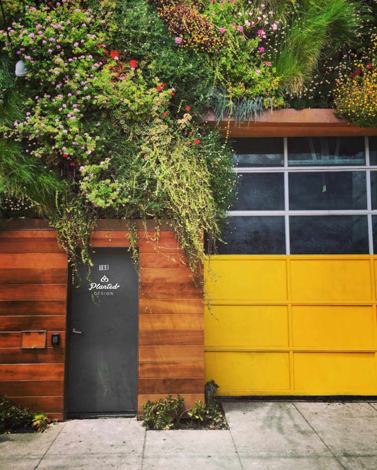 To know more about San Francisco's first community built living wall click here