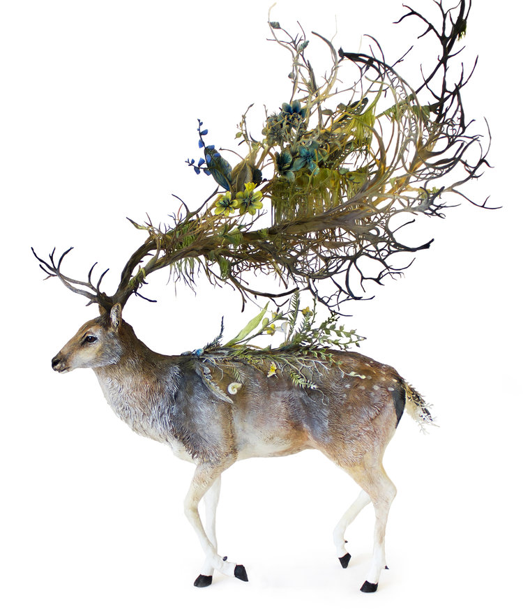 Plant & Animal sculpture by Ellen Jewett Merge
