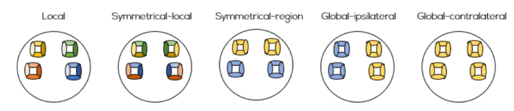 Figure 3: 16-channel optode template set-up for local, symmetrical-local, symmetrical-region, global-ipsilateral and global-contralateral use of short separation channels. Each color represent a short separation channel for every category of long channels.