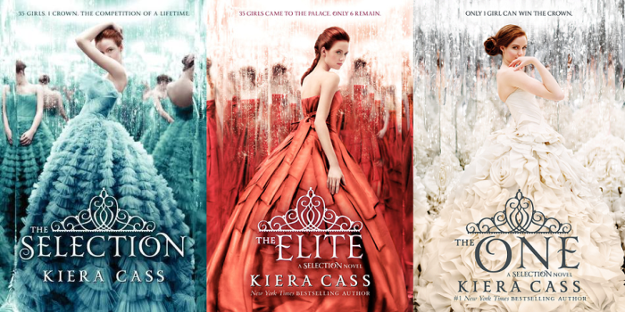 Image result for the selection series covers